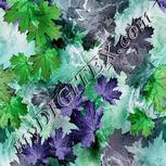 Colour:C