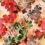 Colour:J