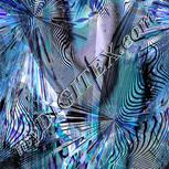 Colour:F