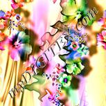 Colour:A