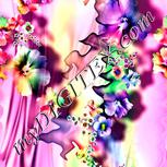 Colour:B