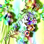 Colour:D