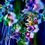 Colour:F