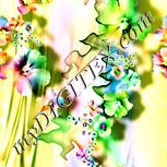 Colour:K