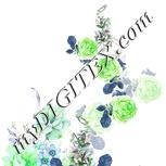 Colour:C
