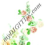 Colour:K
