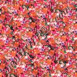 Colour:J