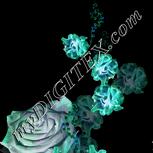 Colour:F