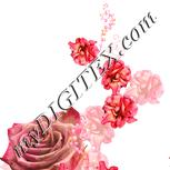 Colour:J