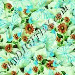 Colour:K