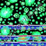 Colour:F