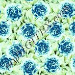 Colour:K