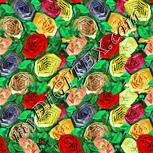 Colour:K
