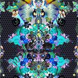 Colour:F