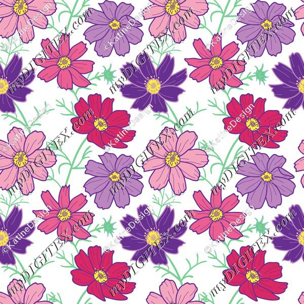 cosmos flowerBIG