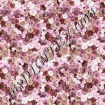 Colour:B