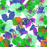 Colour:B