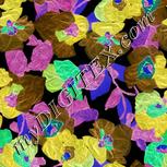 Colour:F