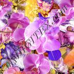 Colour:A