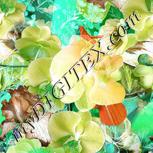 Colour:C