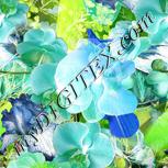 Colour:D