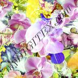Colour:K