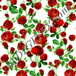 Colour:K