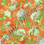 Colour:K
