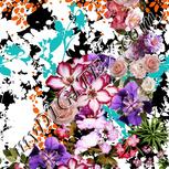 Colour:A