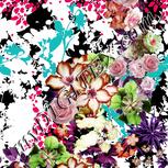Colour:B