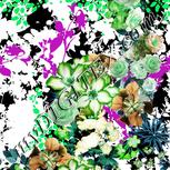 Colour:C
