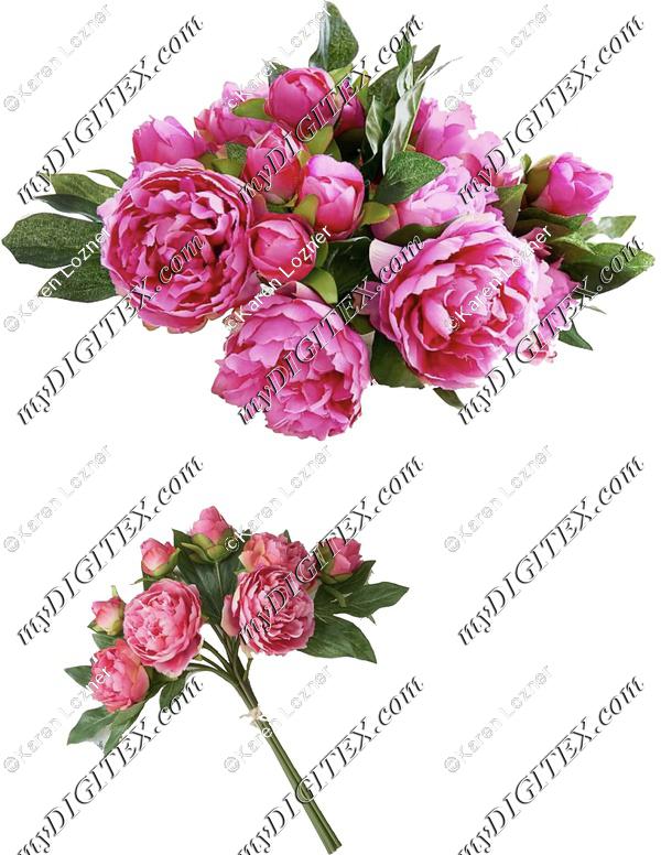 pink rose print