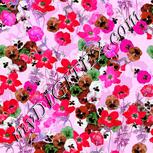 Colour:B