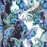 Colour:F