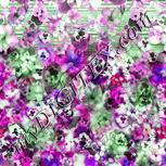 Colour:K