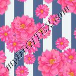 Colour:A