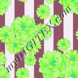 Colour:C