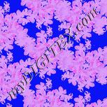 Colour:F