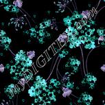 Colour:F