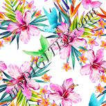 Colour:A