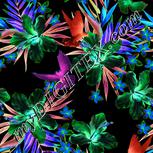 Colour:F