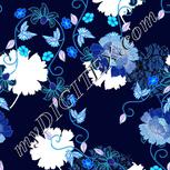 Colour:F