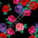 Colour:A