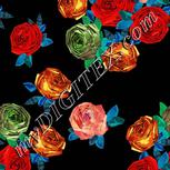 Colour:B