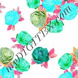 Colour:F