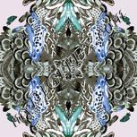 Colour:F