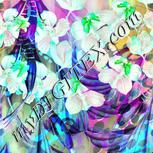 Colour:C