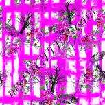 Colour:B