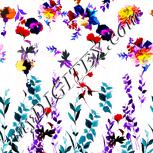 Colour:B