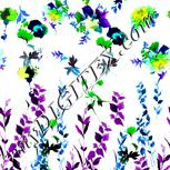 Colour:C